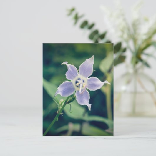 Tall Bellflower Briefkaart (Staand voorkant)