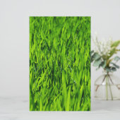 Tall-blades van gras briefpapier (Staand voorkant)