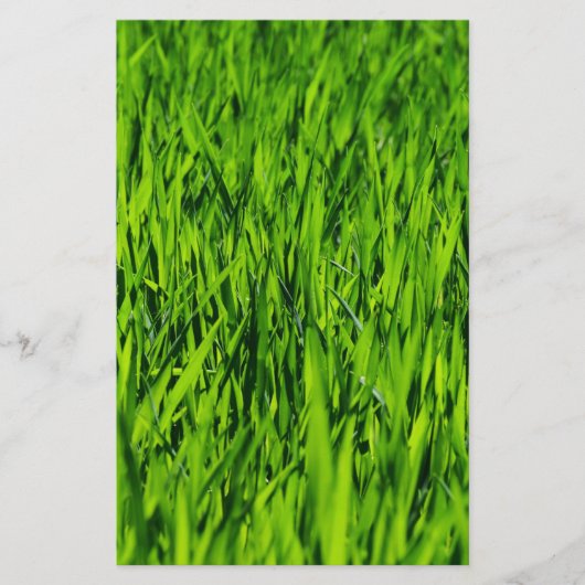 Tall-blades van gras briefpapier (Voorkant)