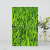 Tall-blades van gras briefpapier (Staand voorkant)