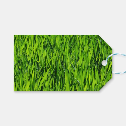 Tall-blades van gras cadeaulabel (Voorkant (Horizontaal))