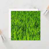 Tall-blades van gras kaart (Voorkant / Achterkant in situ)