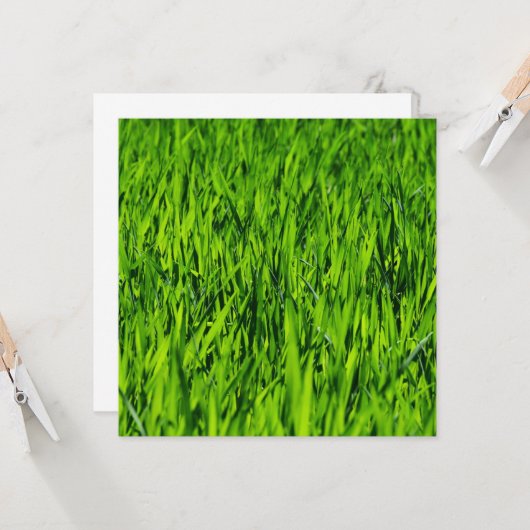 Tall-blades van gras kaart (Voorkant / Achterkant in situ)