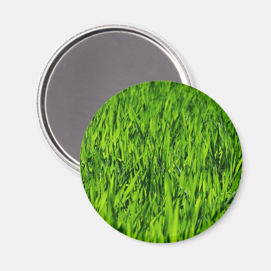 Tall-blades van gras magneet (Voorkant / Achterkant)