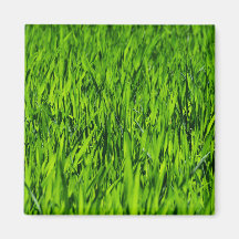 Tall-blades van gras