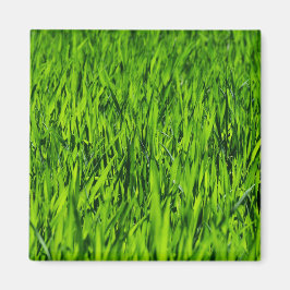 Tall-blades van gras magneet