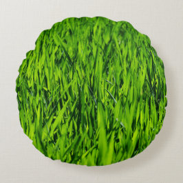 Tall-blades van gras rond kussen