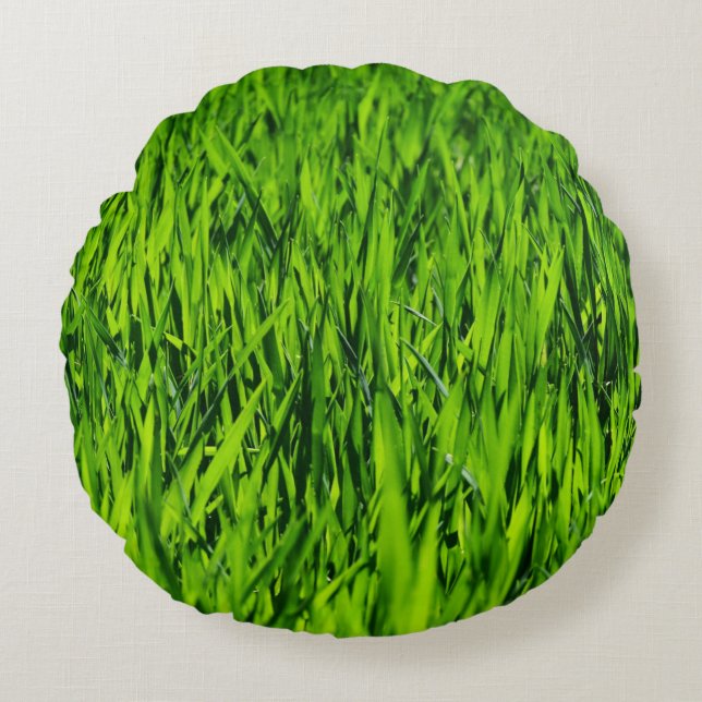 Tall-blades van gras rond kussen (Voorkant)