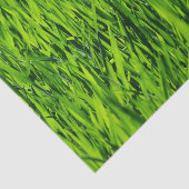 Tall-blades van gras tissuepapier (Detail)