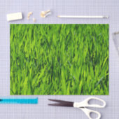 Tall-blades van gras tissuepapier (Craft)