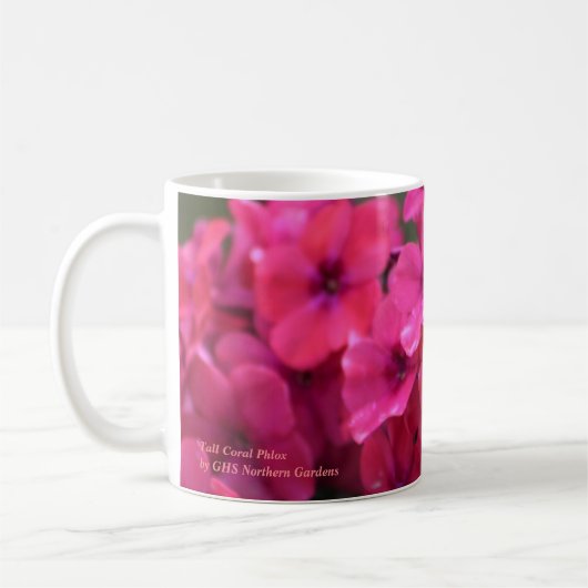 Tall Coral Phlox Koffiemok (Links)