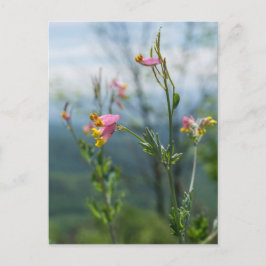 Tall Corydalis Wildflower Verticaal Briefkaart