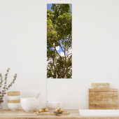 Tall curvy florida tree Poster (Keuken)