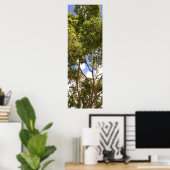 Tall curvy florida tree Poster (Thuiskantoor)