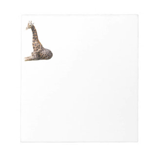 Tall Cute Giraffe Real Animal Foto Notitieblok