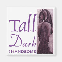 Tall Dark & Handsome - Fries Paard