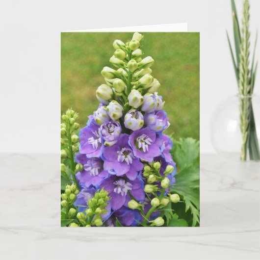 Tall Delphinium Scripture Kaart 1 Corinthians 16:1 (Voorkant)