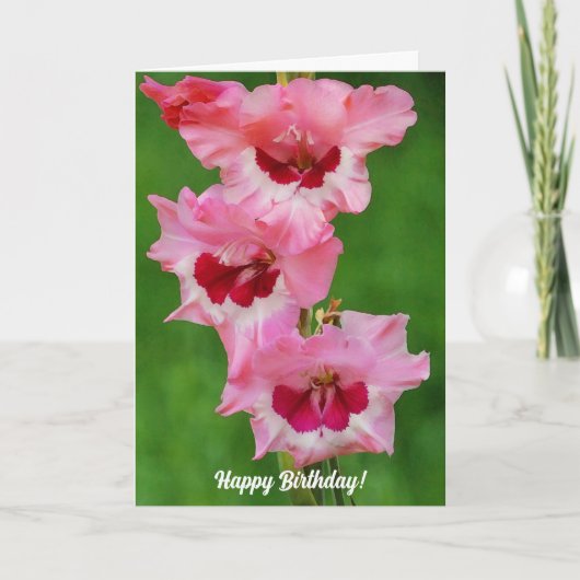 Tall Gladiolus Roze Bloemen Bloemen Bloemen Verjaa Kaart (Voorkant)