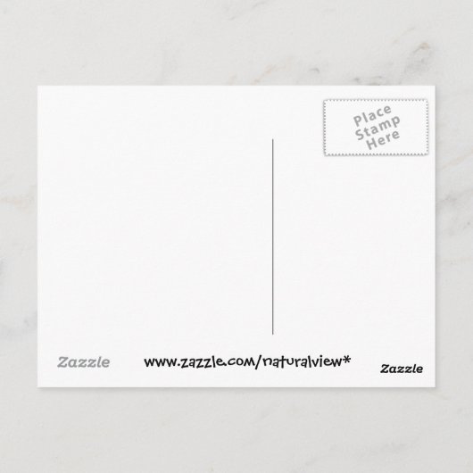 Tall Grass Field met Trees Ames, Iowa Briefkaart (Achterkant)