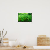 Tall Grass met Cattails in Park Poster (Keuken)