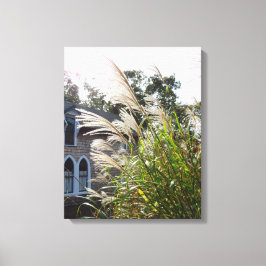 Tall Grasses Arched Windows - Martha's Wineyard Canvas Afdruk