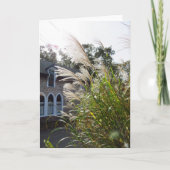 Tall Grasses Arched Windows - Martha's Wineyard Kaart (Voorkant)