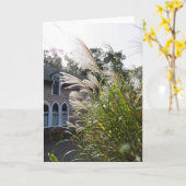 Tall Grasses Arched Windows - Martha's Wineyard Kaart (Gele Bloem)