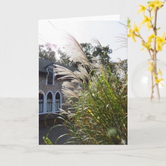 Tall Grasses Arched Windows - Martha's Wineyard Kaart (Gele Bloem)