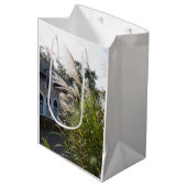 Tall Grasses Arched Windows - Martha's Wineyard Medium Cadeauzakje (Voorkant Gekanteld)