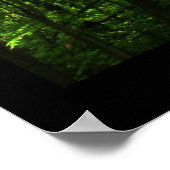 Tall Green Trees Poster #6183 (Hoek)