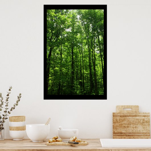 Tall Green Trees Poster #6183 (Keuken)