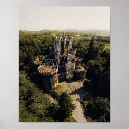 Tall Grey Stone Castle in Green Overgrown Bossen Poster (Voorkant)
