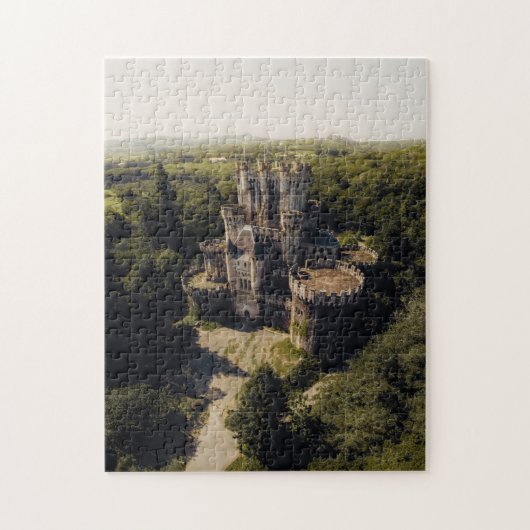 Tall Grey Stone Castle in Wooded Ireland Legpuzzel (Verticaal)