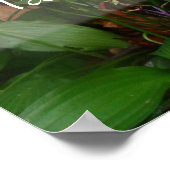 Tall is het goedkoopste poster voor wijsheid (Hoek)