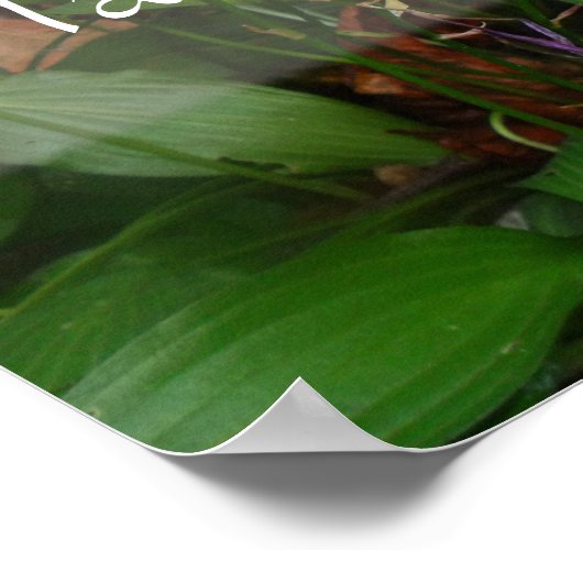 Tall is het goedkoopste poster voor wijsheid (Hoek)