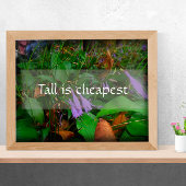 Tall is het goedkoopste poster voor wijsheid