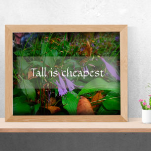 Tall is het goedkoopste poster voor wijsheid