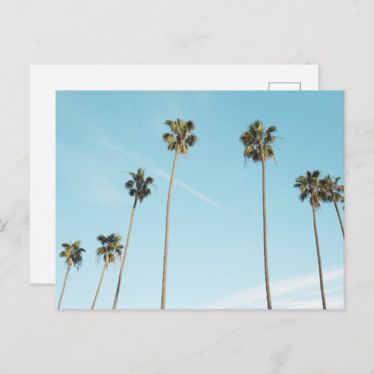 Tall Palm Trees Light Blue Sky Feestdagenkaart (Voorkant / Achterkant)