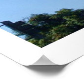 TALL PALM TREES poster (Hoek)