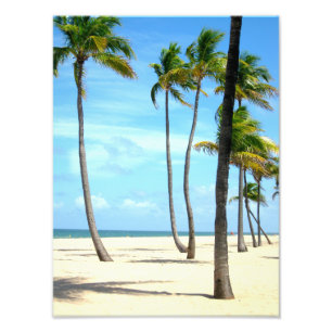 Tall Palm Trein op strand Foto Afdruk