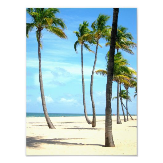 Tall Palm Trein op strand Foto Afdruk (Voorkant)