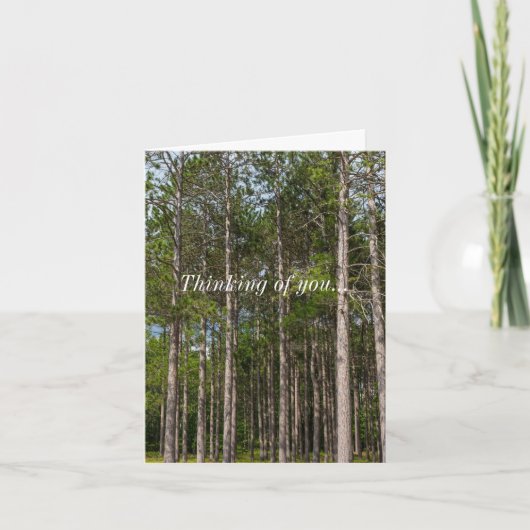 Tall Pines denking you Kaart (Voorkant)