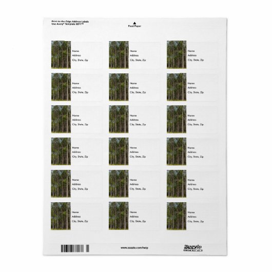 Tall Pines Etiket (Full Sheet)