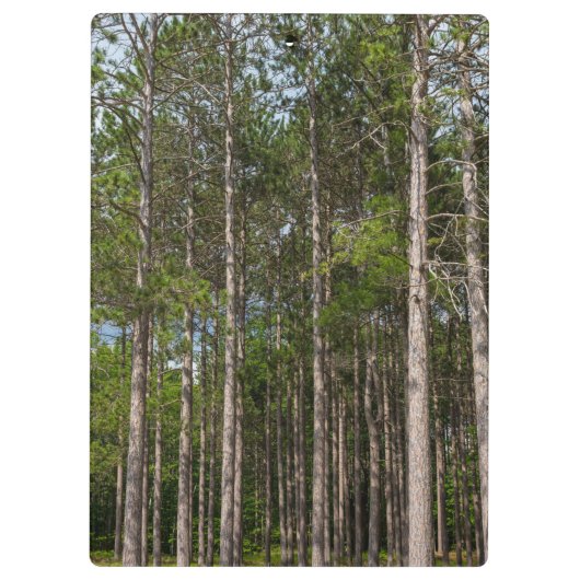 Tall Pines Klembord (Achterkant)