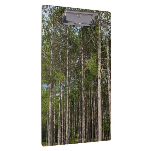 Tall Pines Klembord (Rechts)