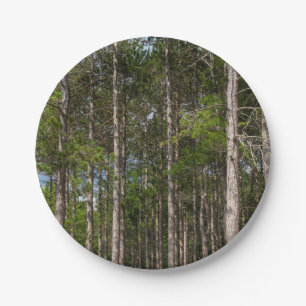 Tall Pines Papieren Bordje