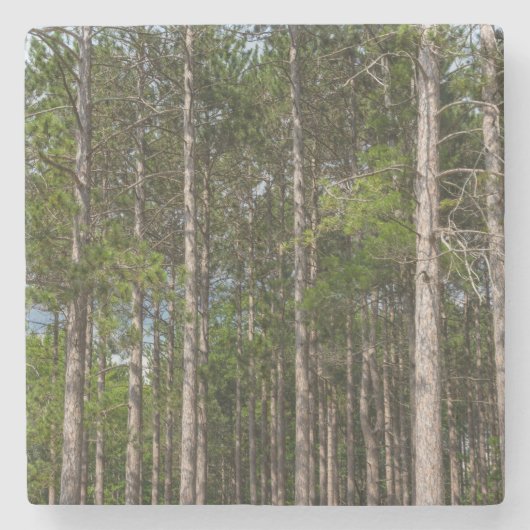 Tall Pines Stenen Onderzetter (Voorkant)