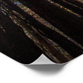 Tall Pines, Walnut Bossen Metro Park, Groveport, O Poster (Hoek)