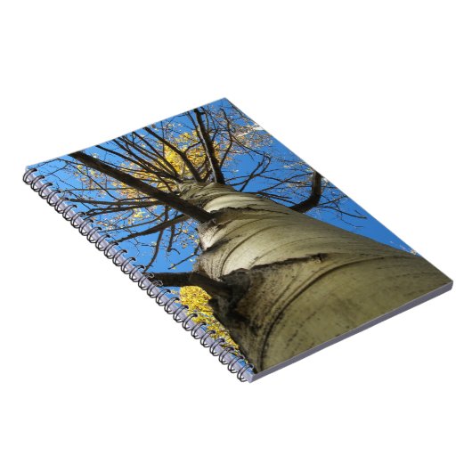 Tall Quaking Aspen Tree Notitieboek (Rechterzijde)