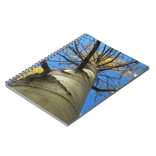 Tall Quaking Aspen Tree Notitieboek (Linkerzijde)